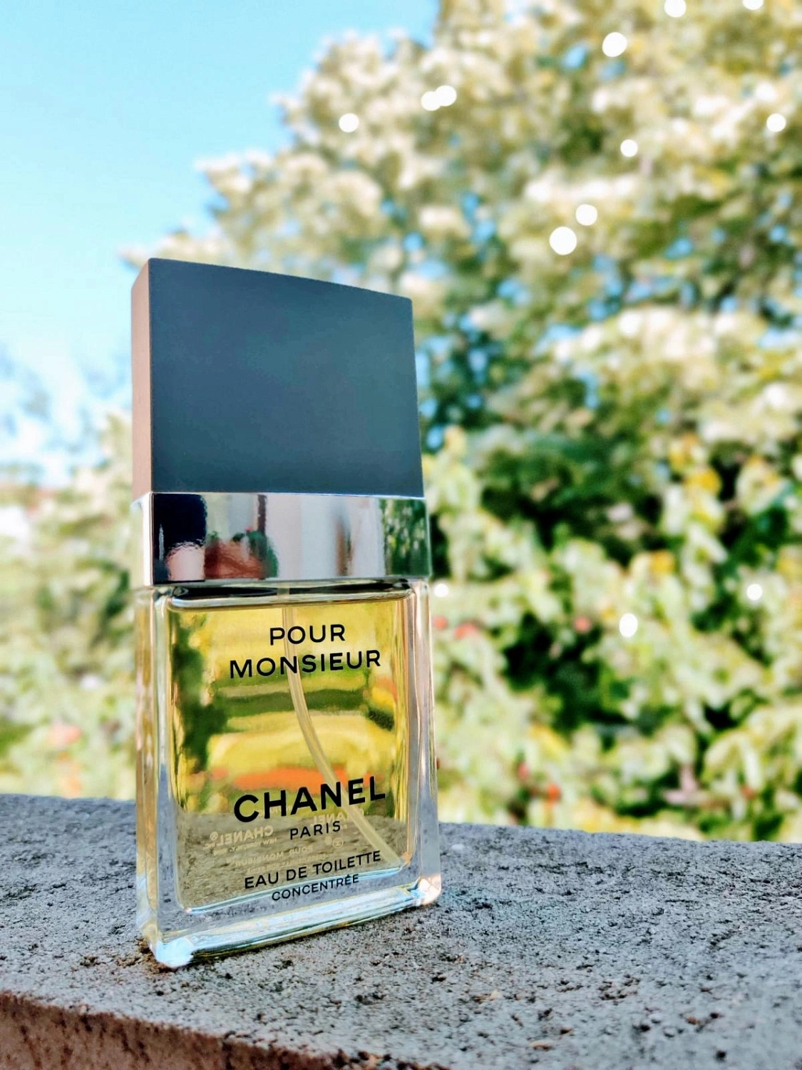 Chanel Pour Monsieur Concentree