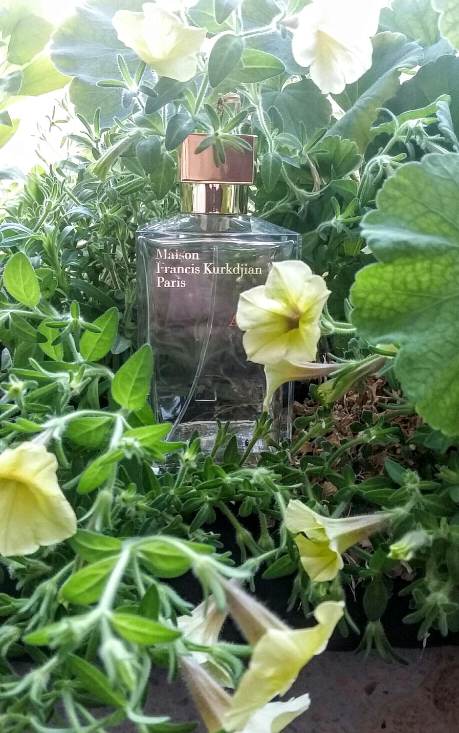 Maison Francis Kurkdjian Amyris Femme