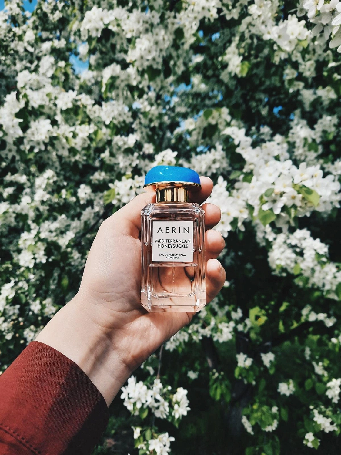 AERIN Mediterranean Honeysuckle