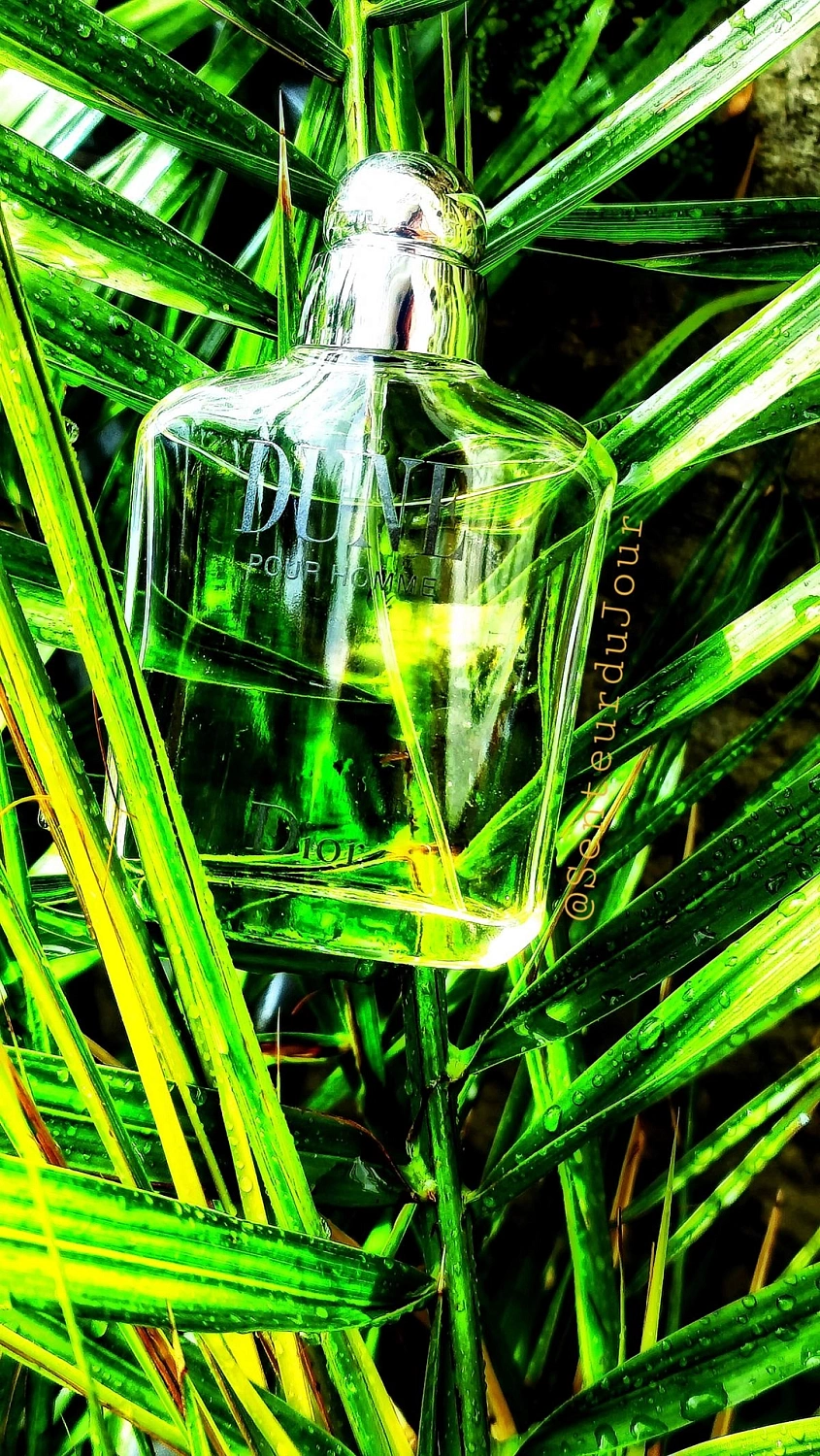 Christian Dior Dune For Men