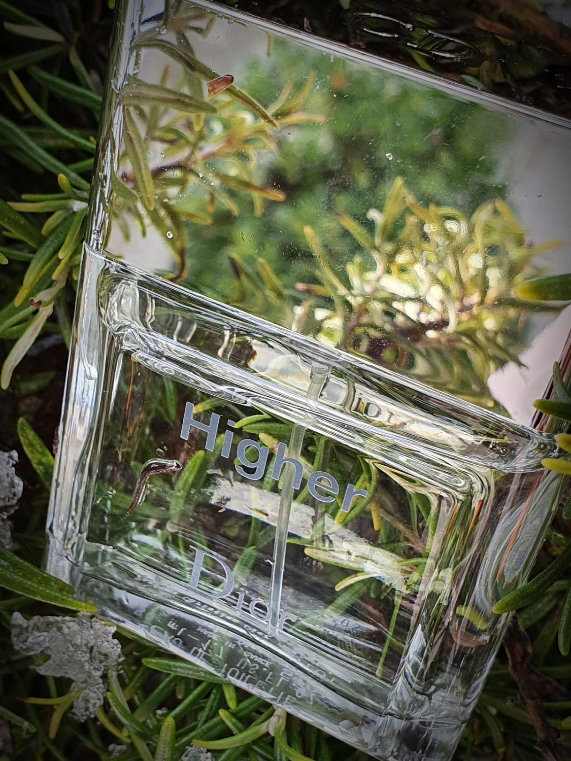 Christian Dior Higher