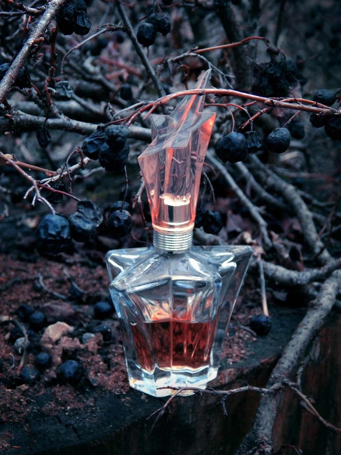 Mugler Angel Le Lys