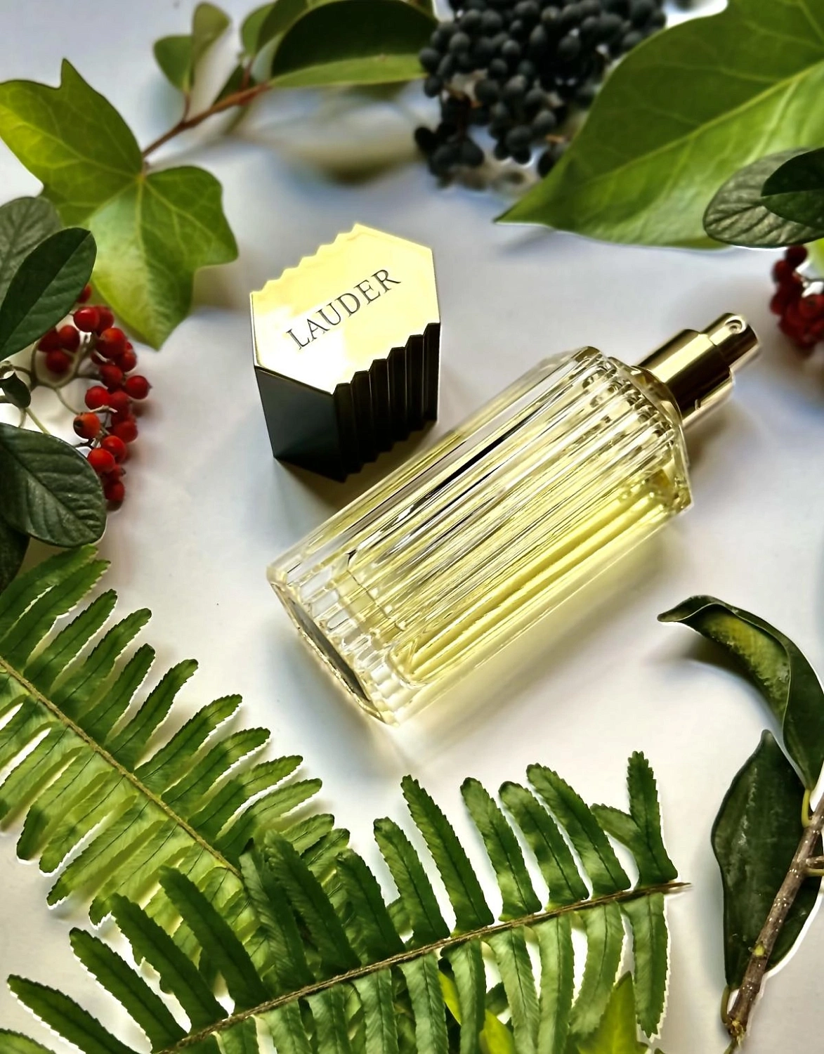 Estée Lauder for Men