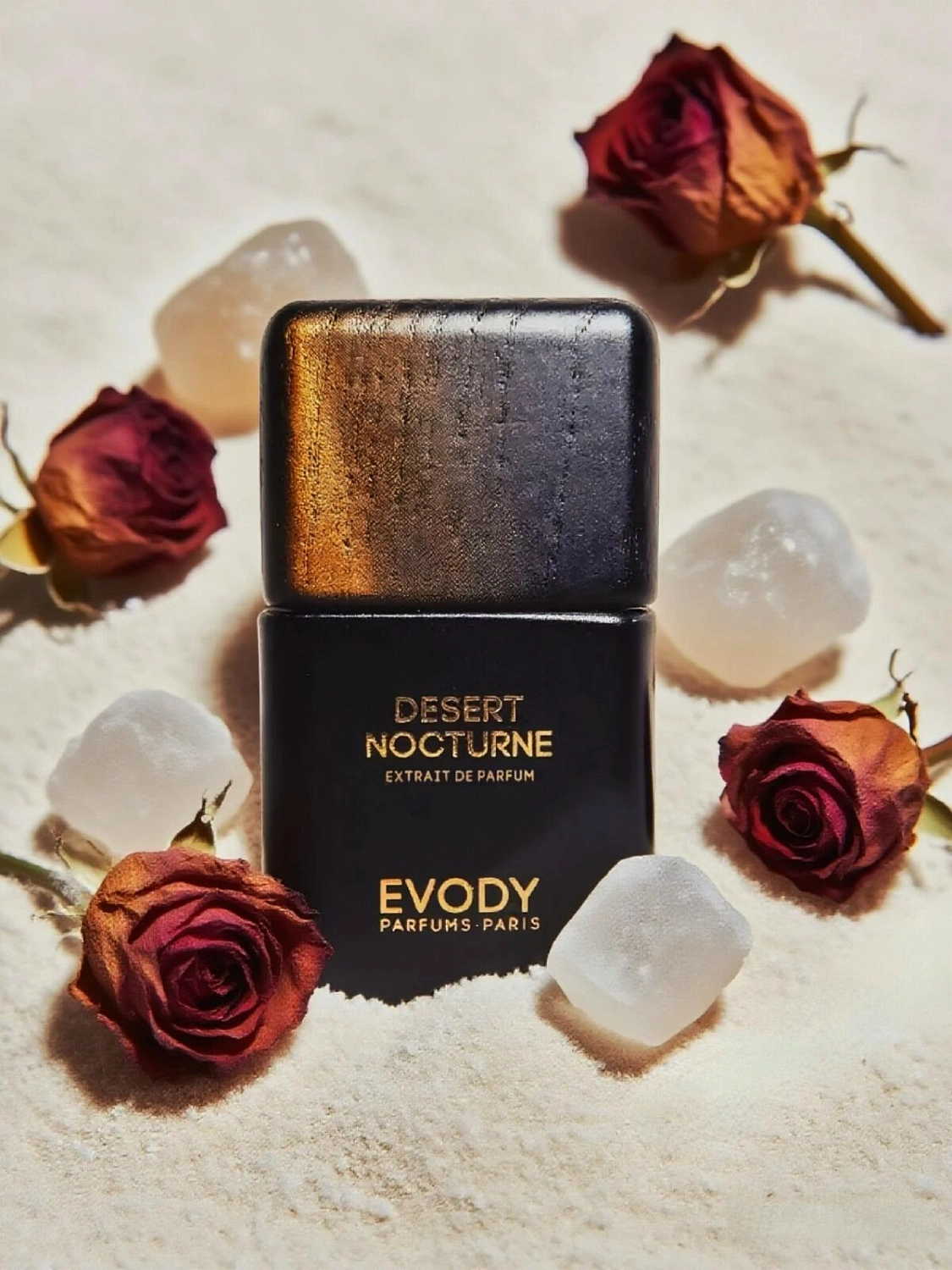 Evody Desert Nocturne