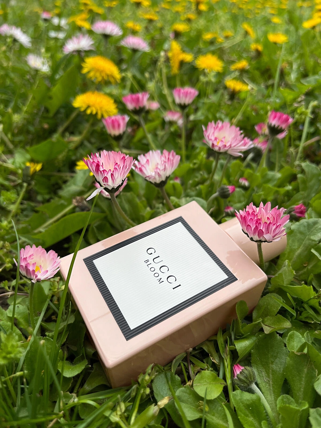 Gucci Bloom
