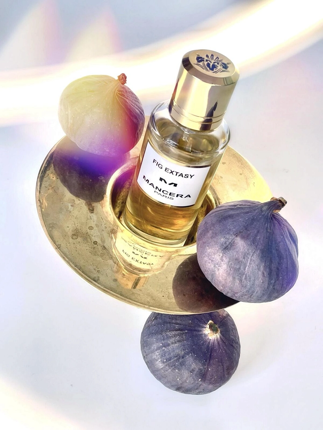 Mancera Fig Extasy