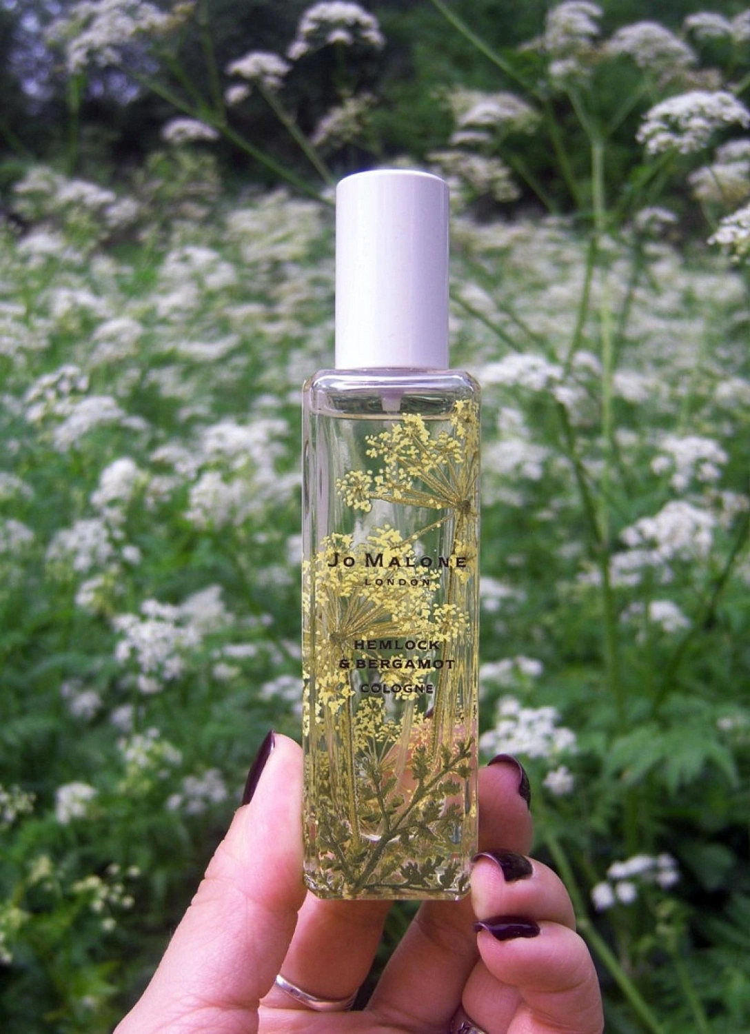 Jo Malone Hemlock & Bergamot