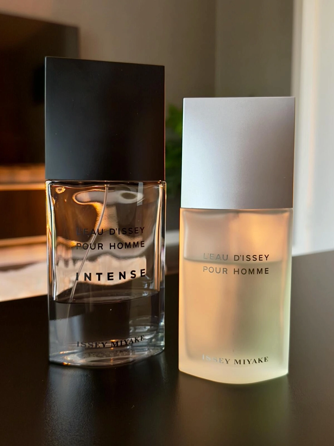 Issey Miyake L'eau D'issey Pour Homme IGO