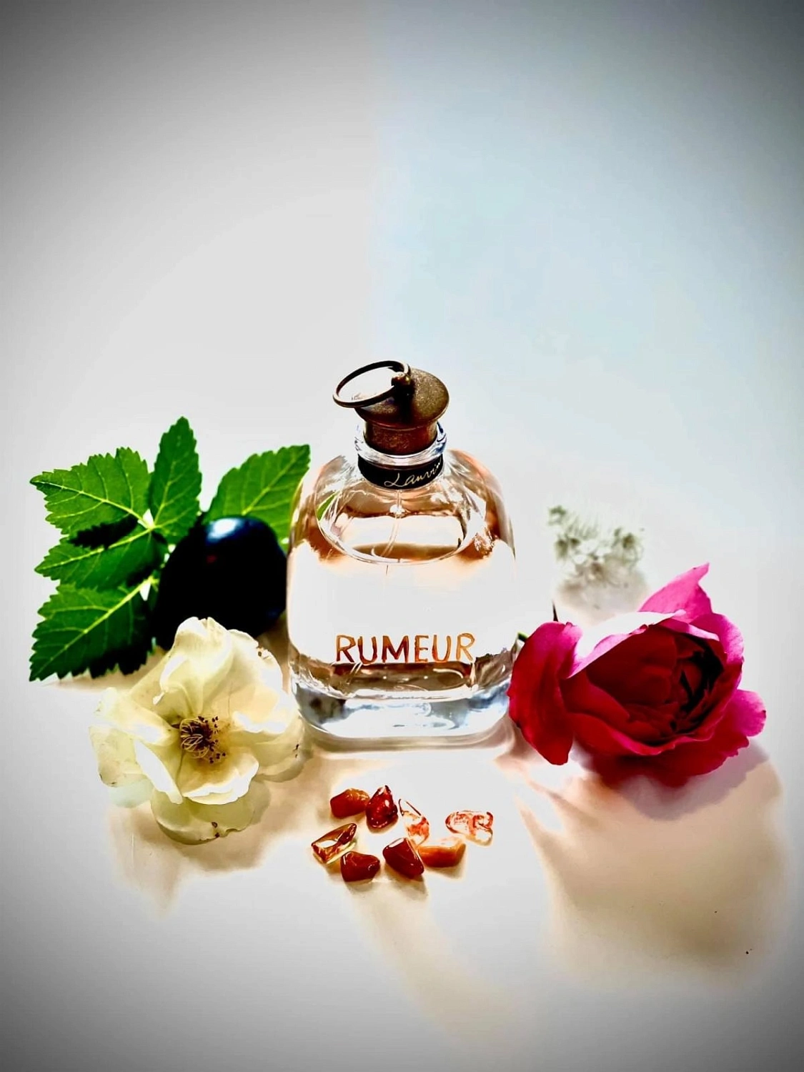 Lanvin Rumeur