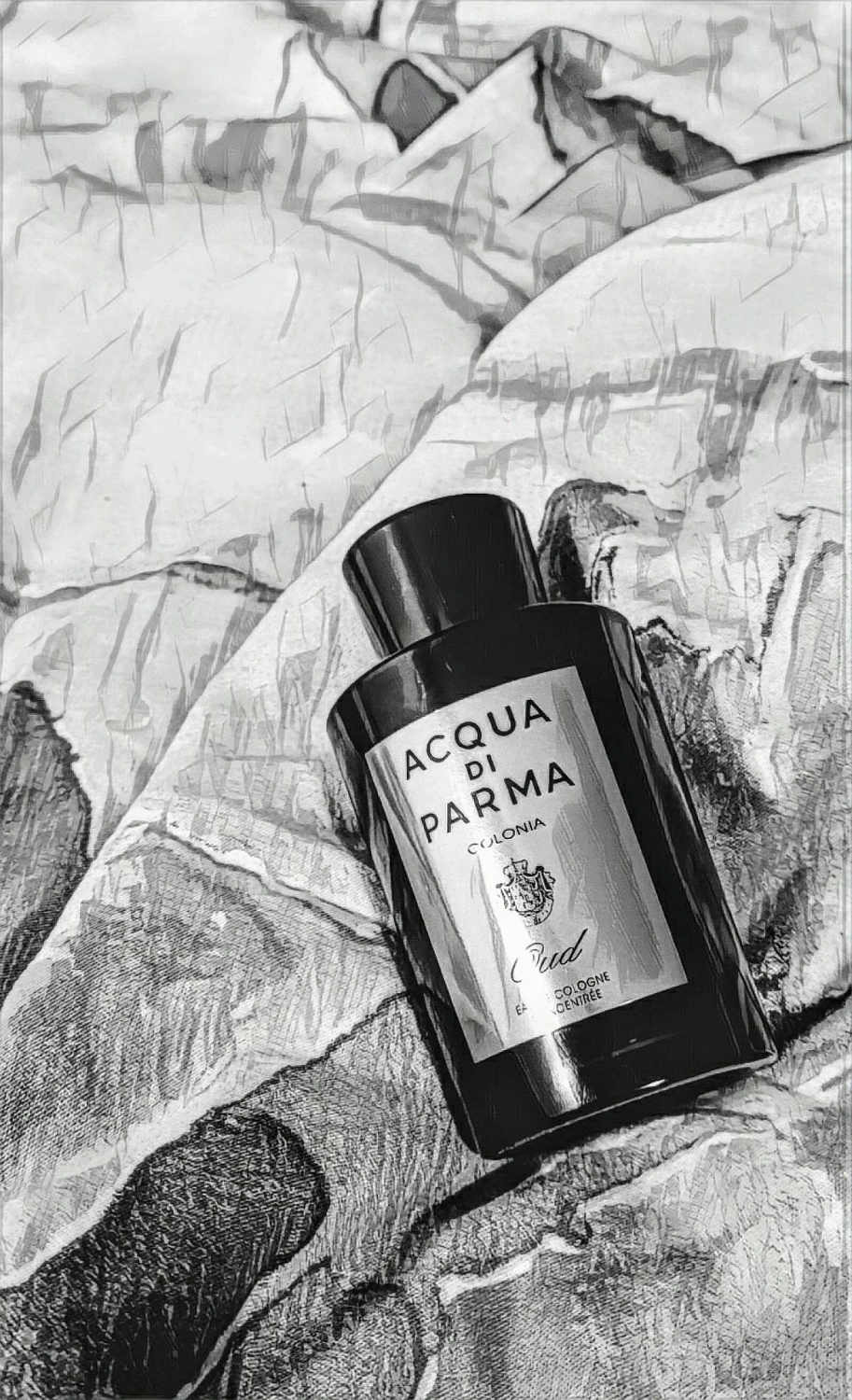Acqua di Parma Colonia Intensa Oud