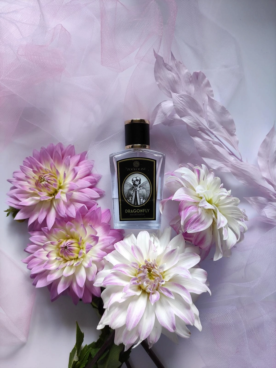 Zoologist Perfumes Dragonfly