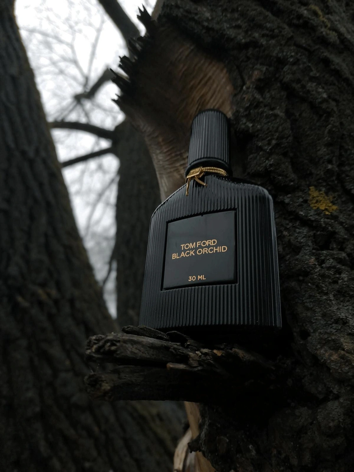 Tom Ford Black Orchid Voile de Fleur