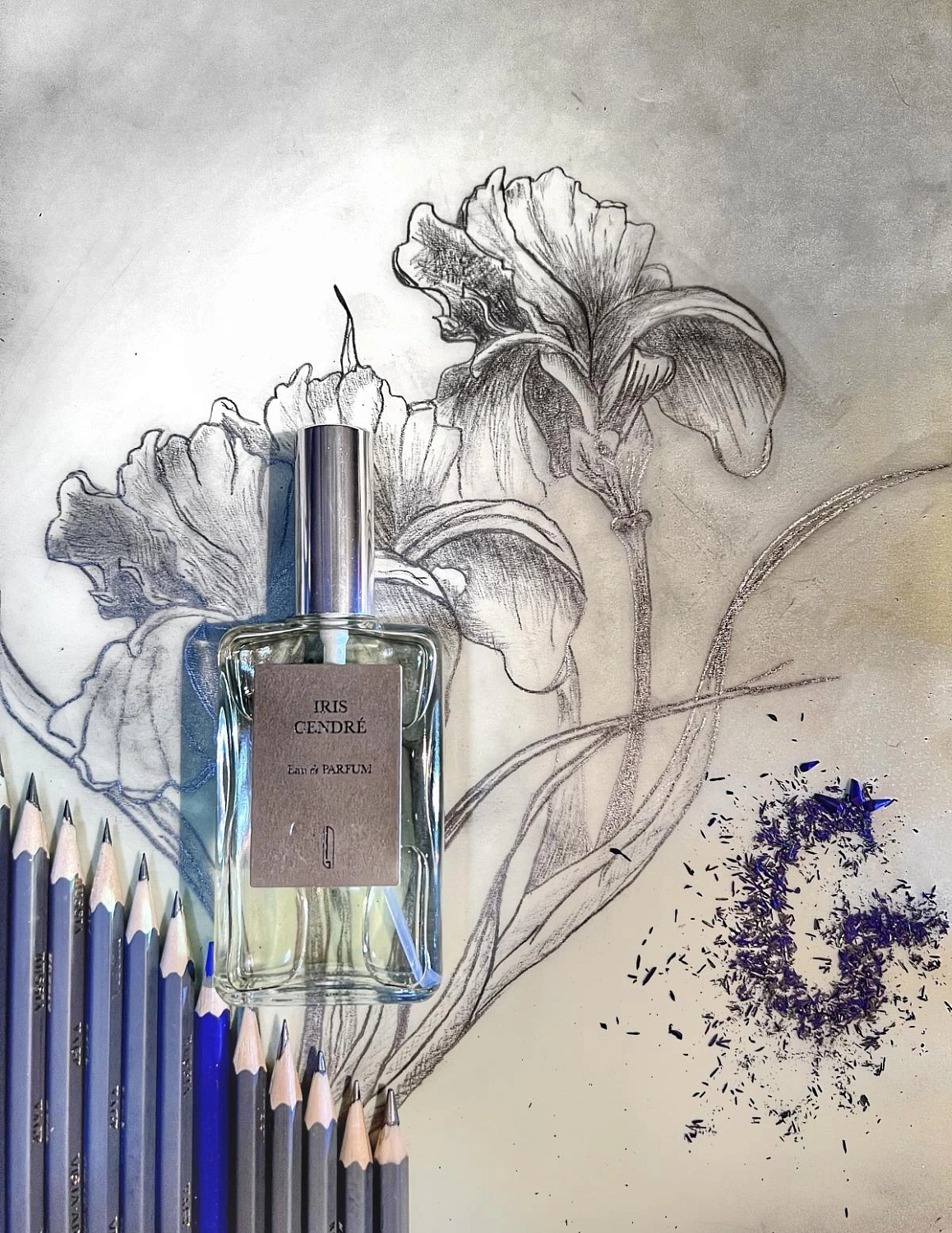 Naomi Goodsir Iris Cendre