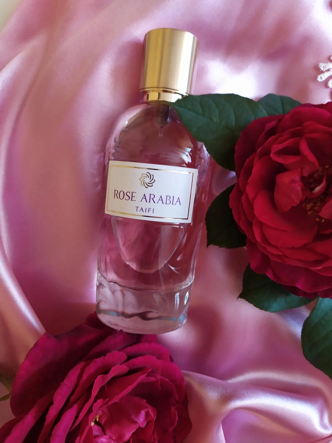 AJ Arabia Widian Rose Arabia Taifi