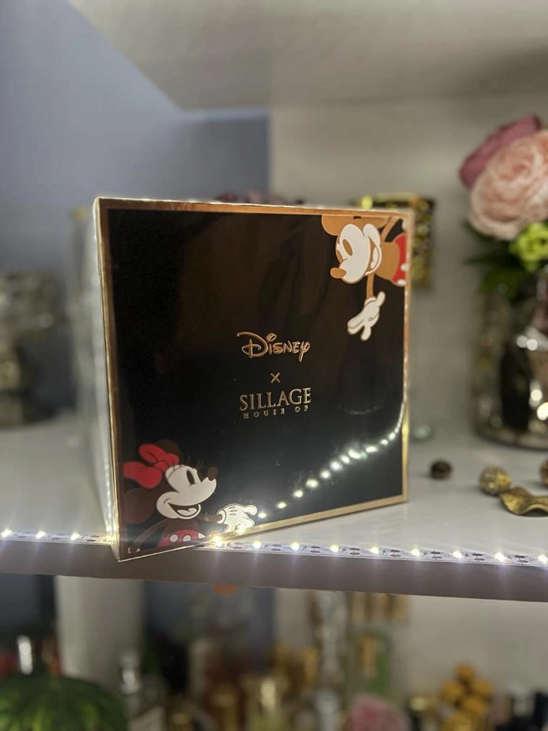 House of Sillage Mickey Mouse