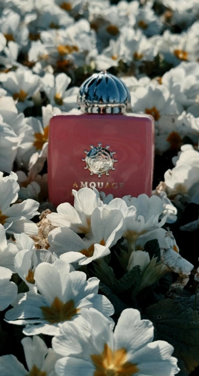 Amouage Blossom Love