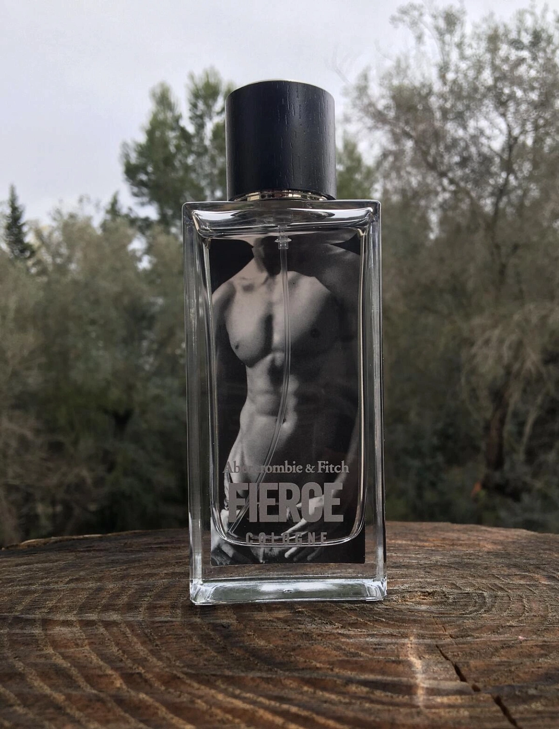 Abercrombie & Fitch Fierce Pride Edition