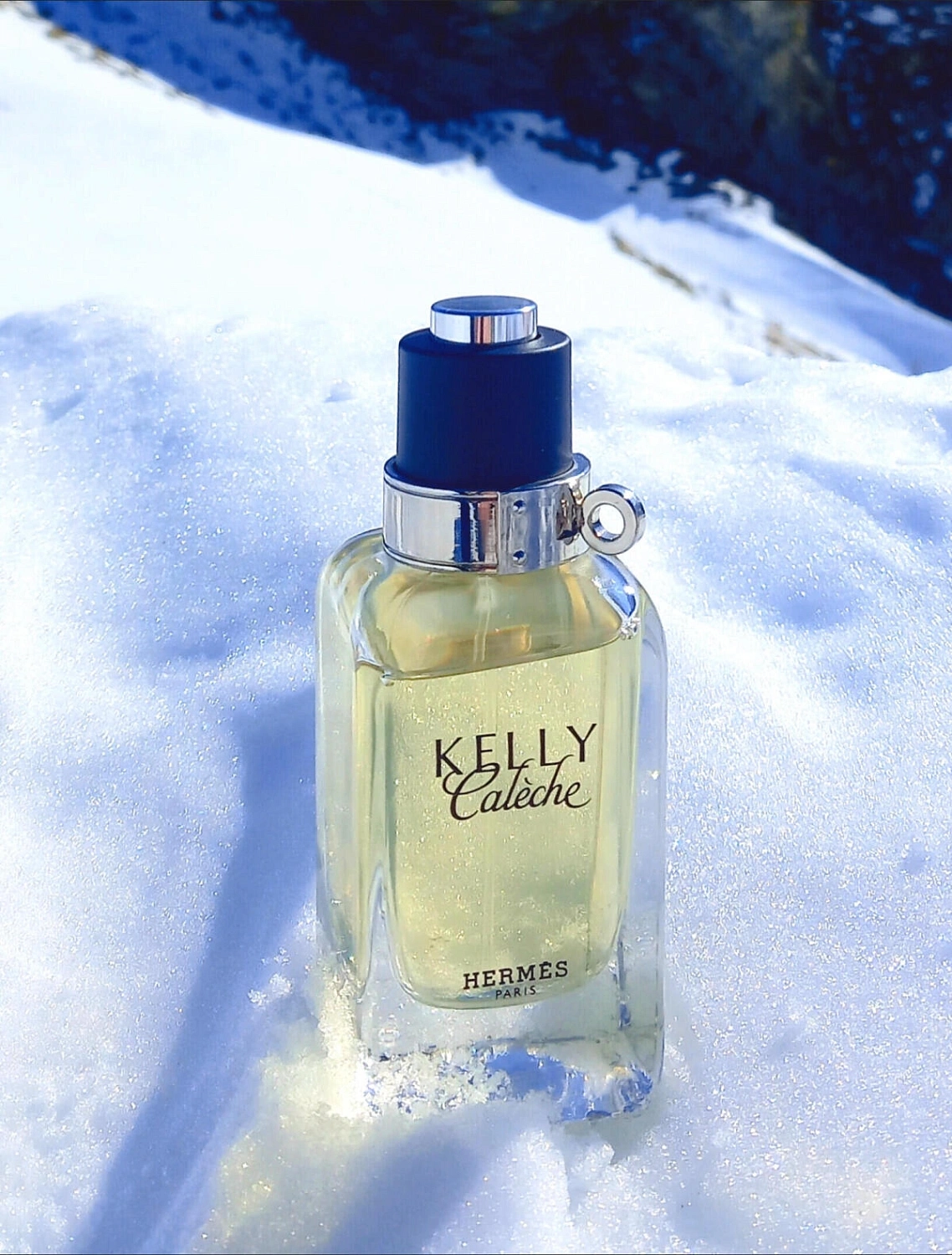 Hermès Kelly Caleche