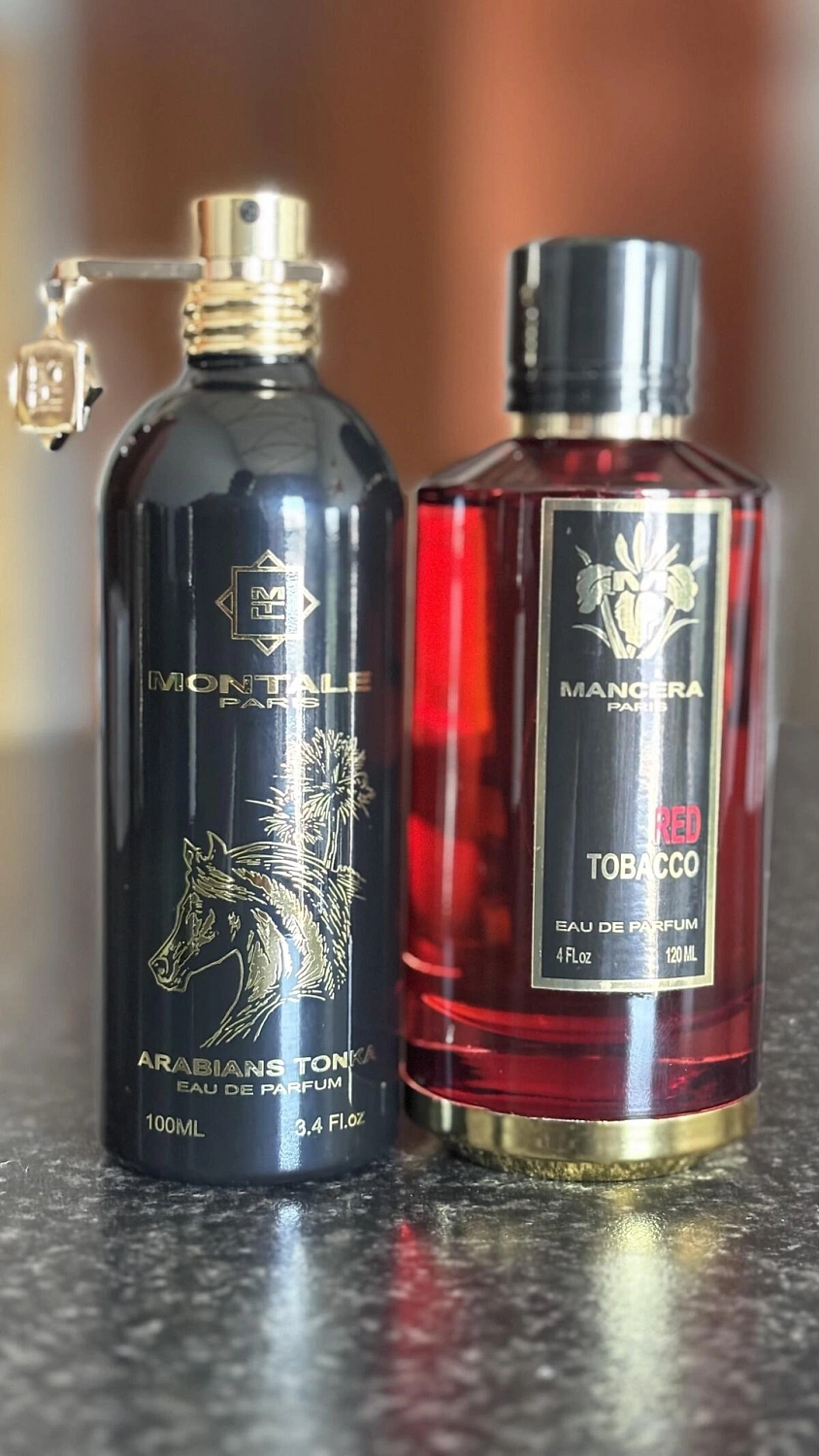 Montale Arabians Tonka