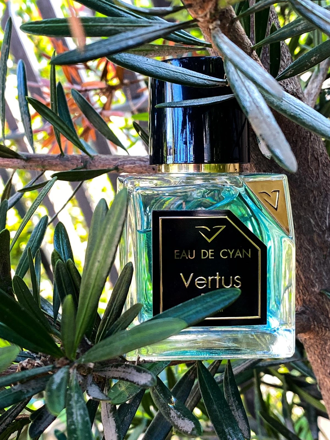Vertus Eau de Cyan