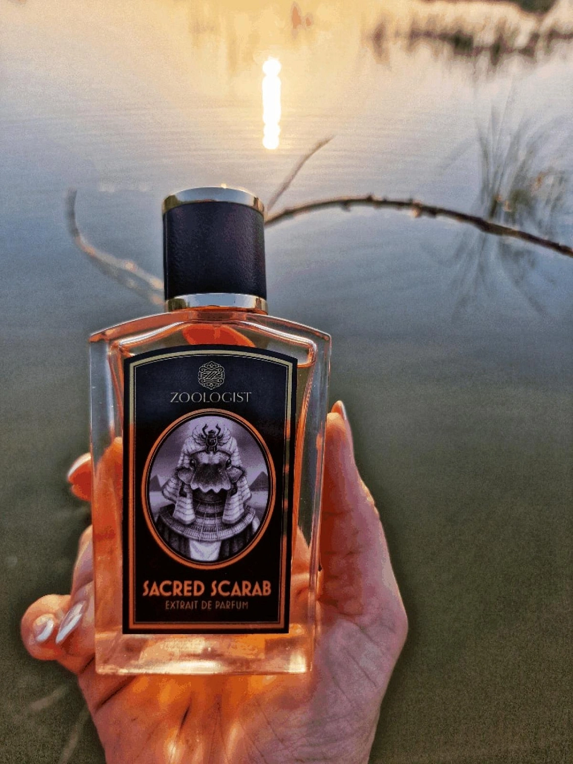 Zoologist Perfumes Sacred Scarab