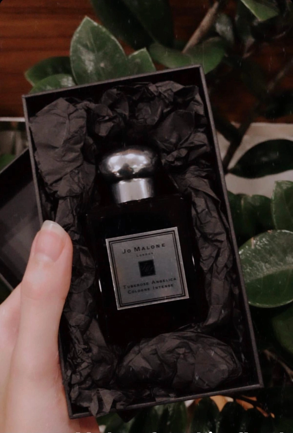 Jo Malone Tuberose Angelica Cologne Intense