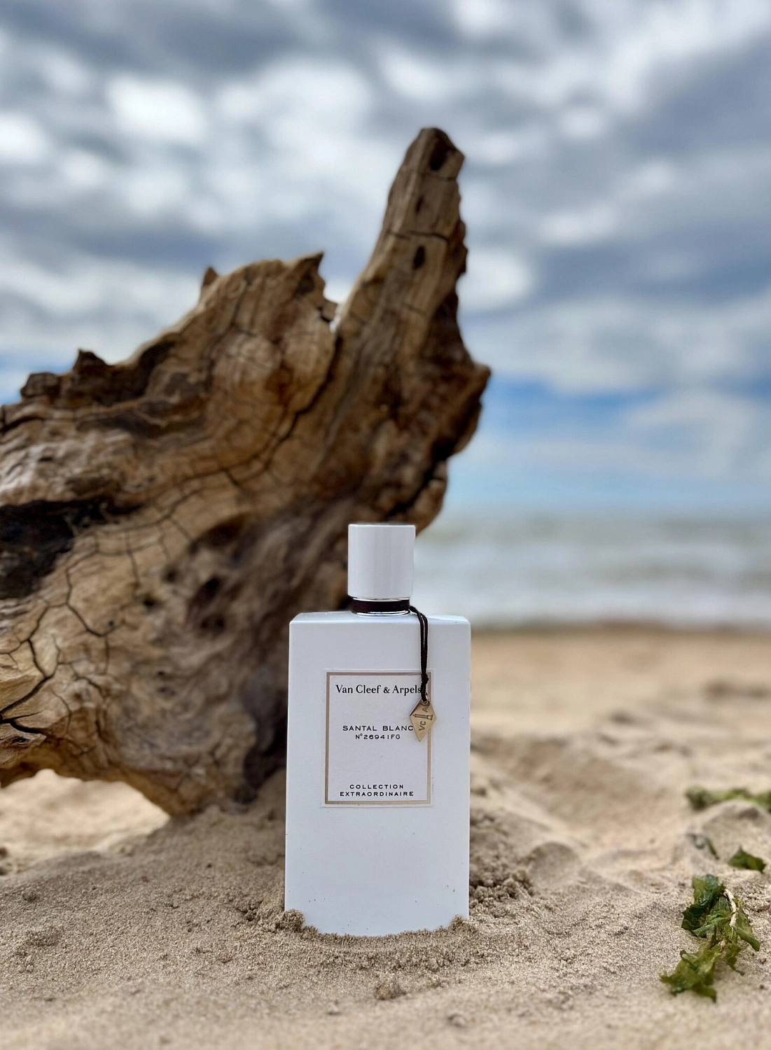 Van Cleef & Arpels Collection Extraordinaire Santal Blanc