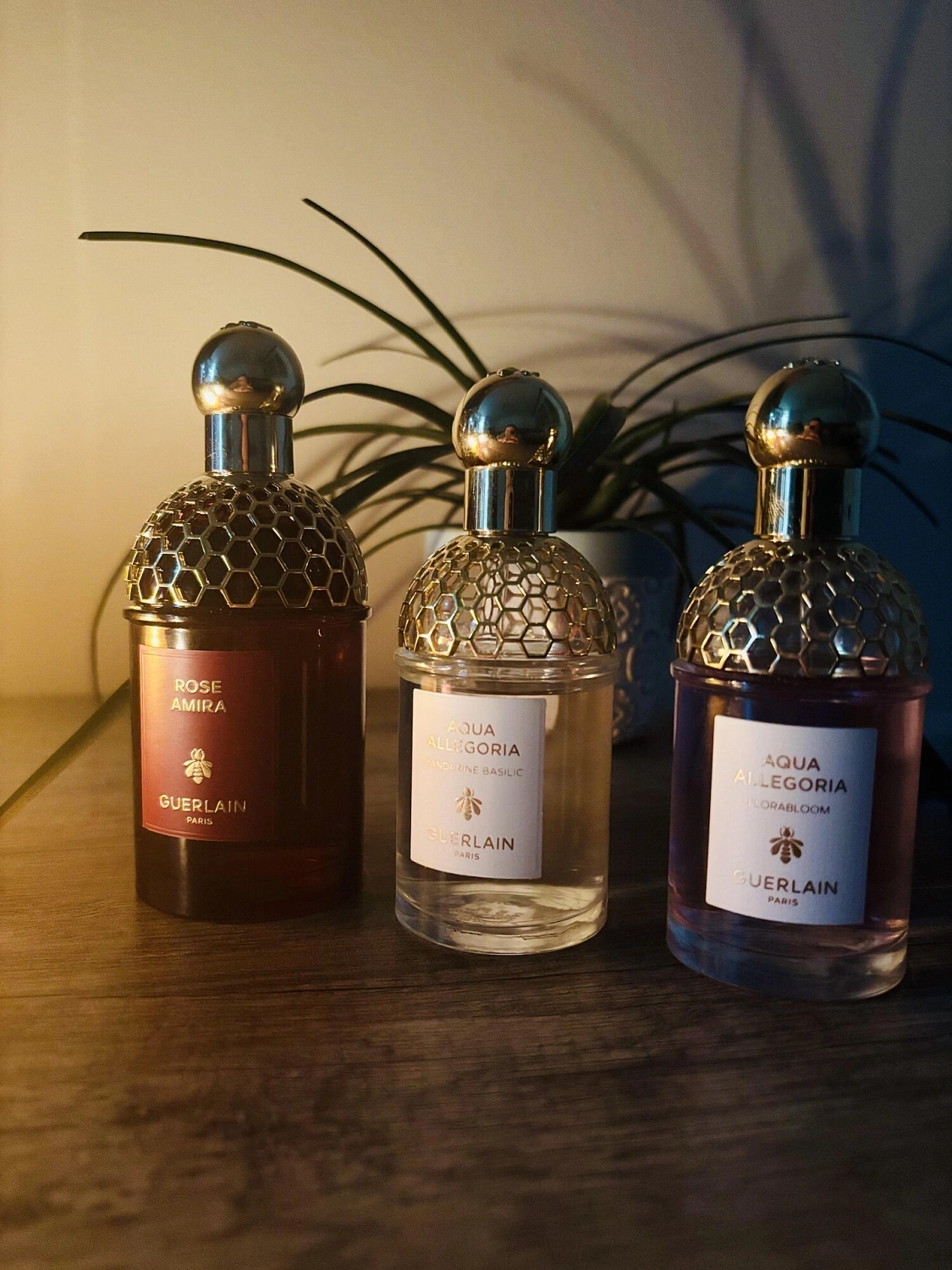 Guerlain Aqua Allegoria Mandarine Basilic