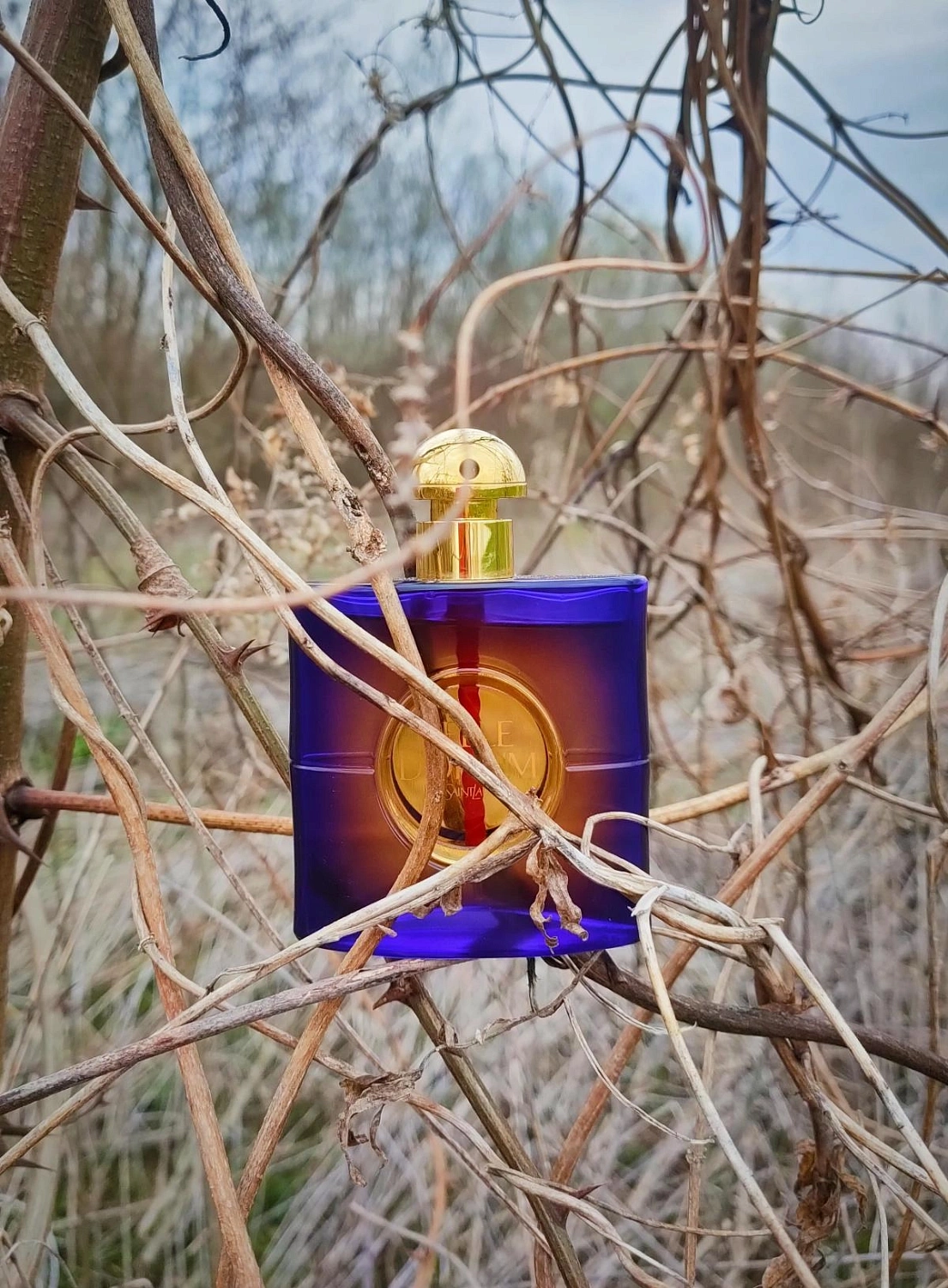Yves Saint Laurent Belle d'Opium