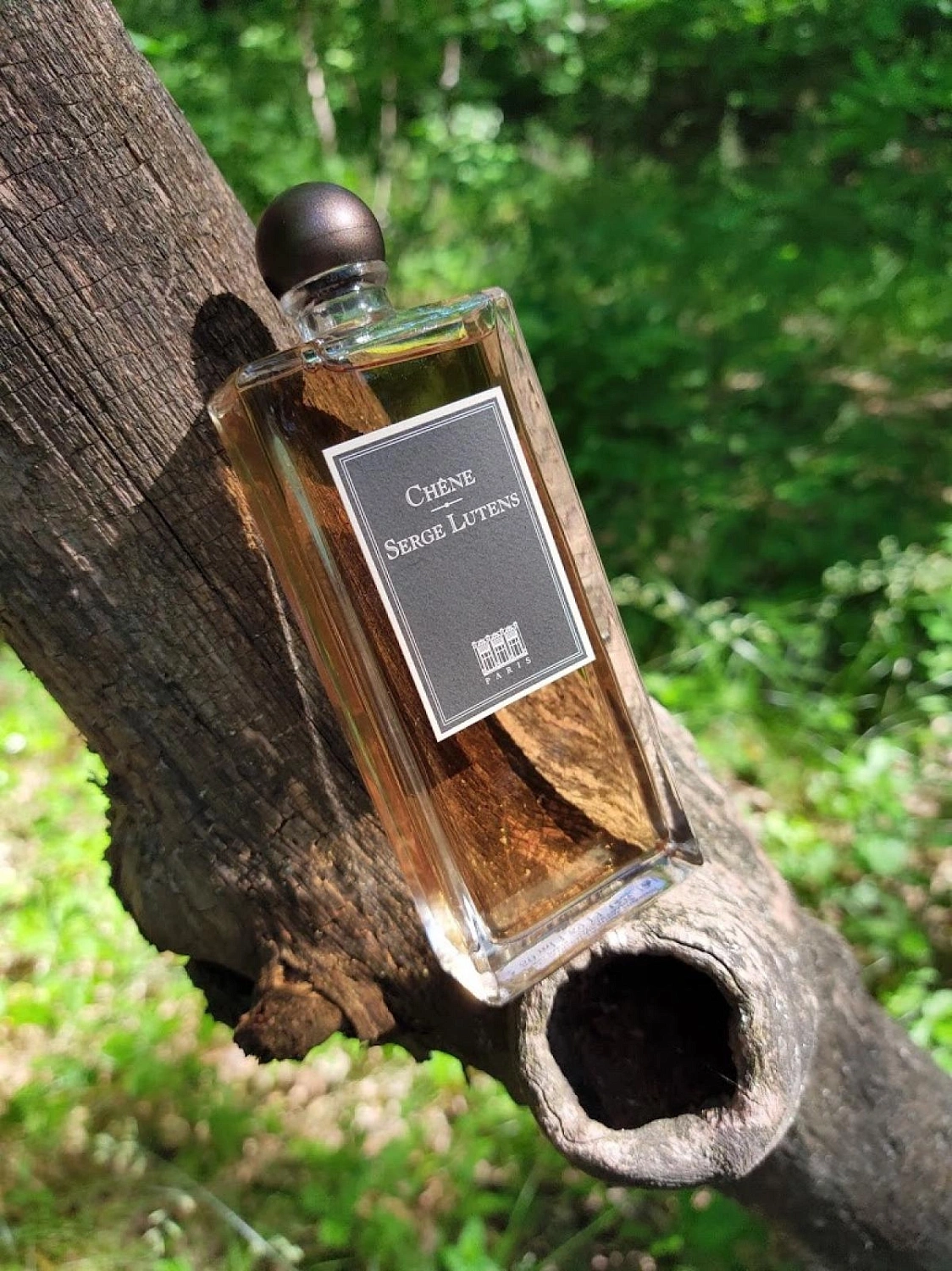 Serge Lutens Chene