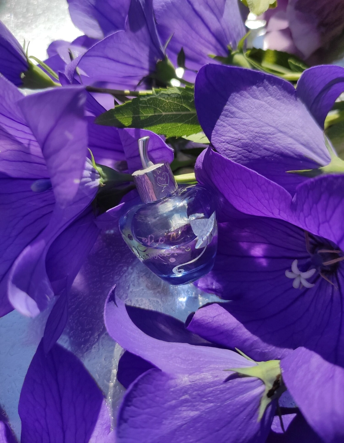 Lolita Lempicka Eau de Toilette