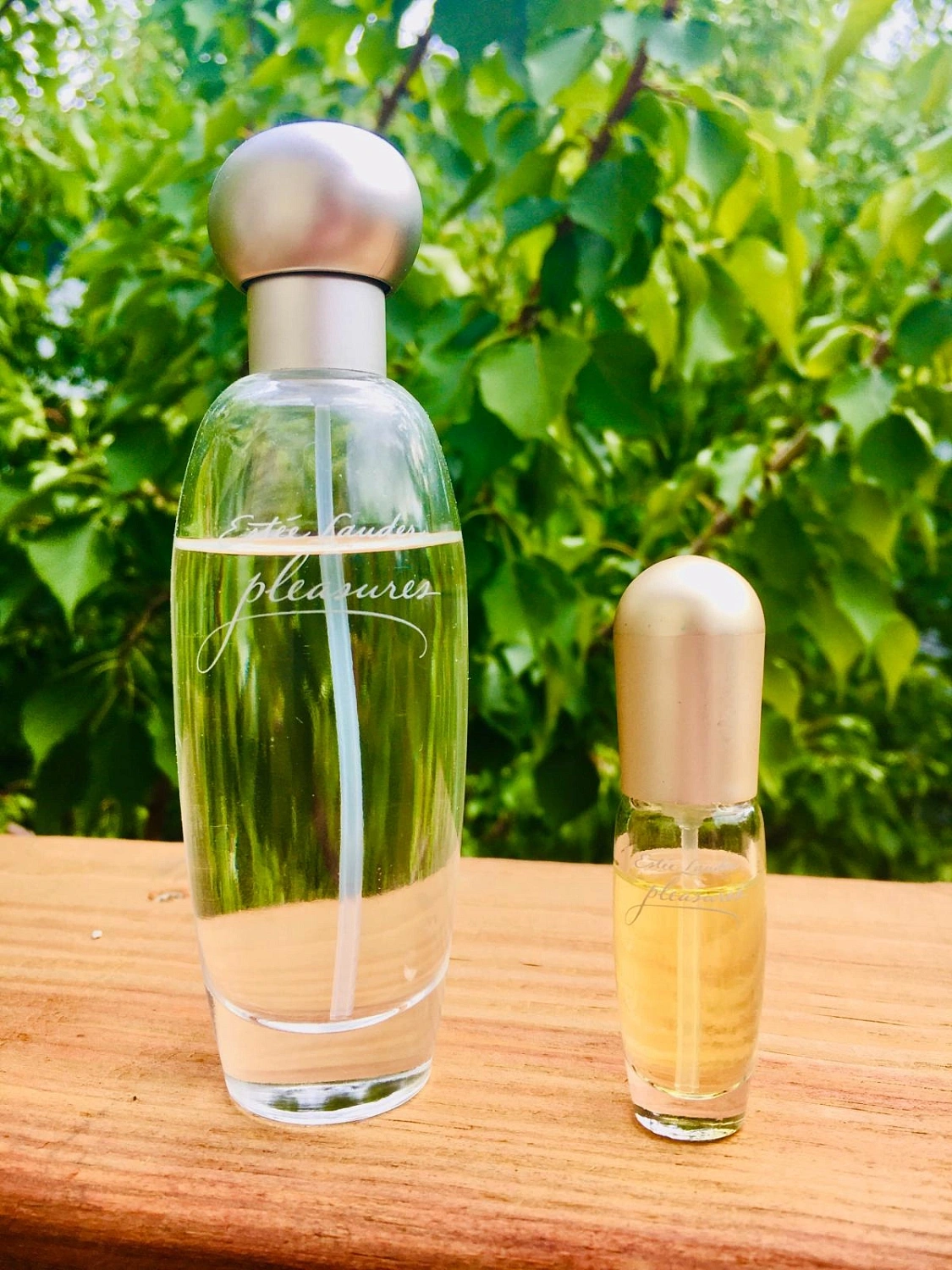 Estée Lauder Pleasures