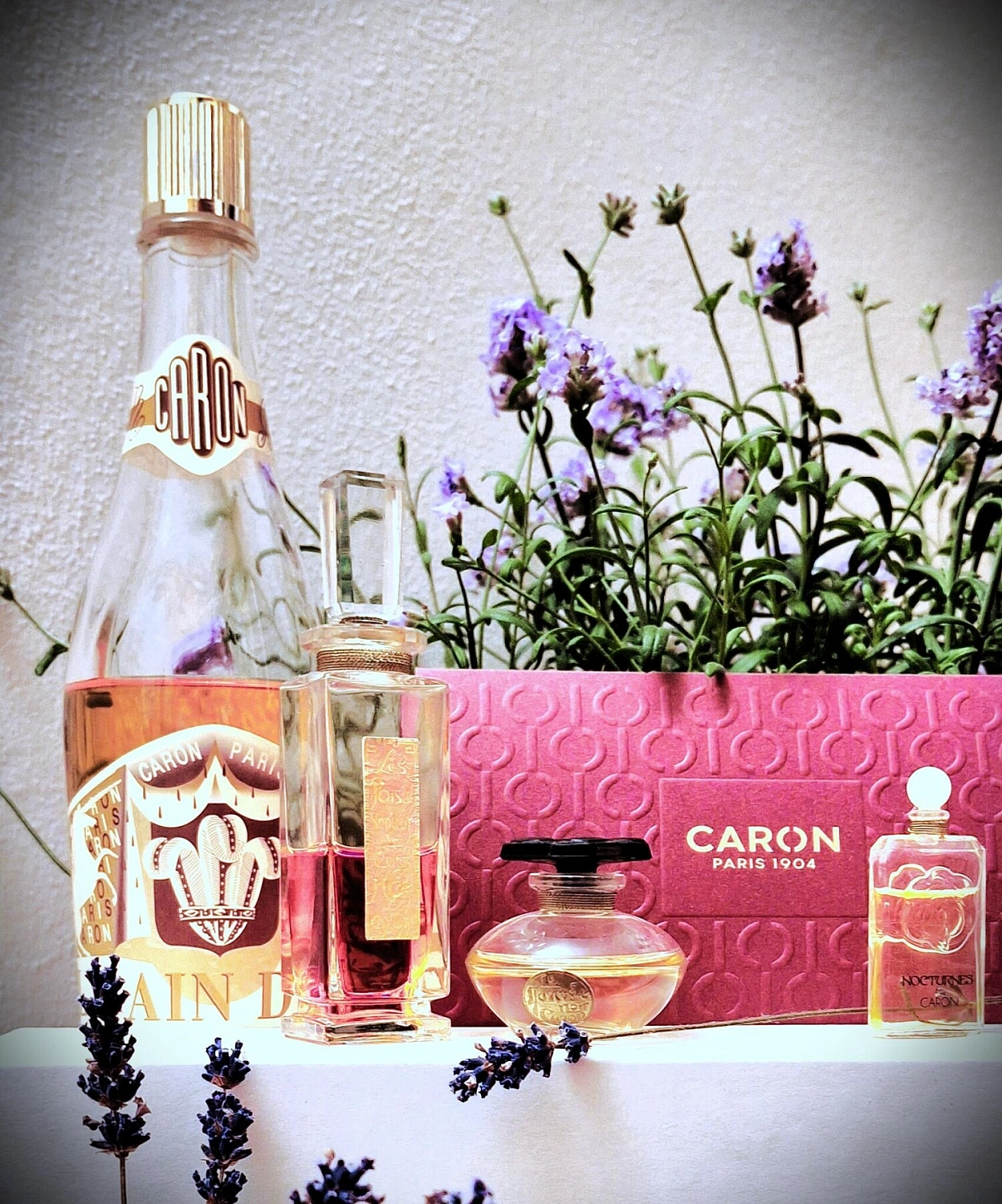 Caron Nocturnes 2017
