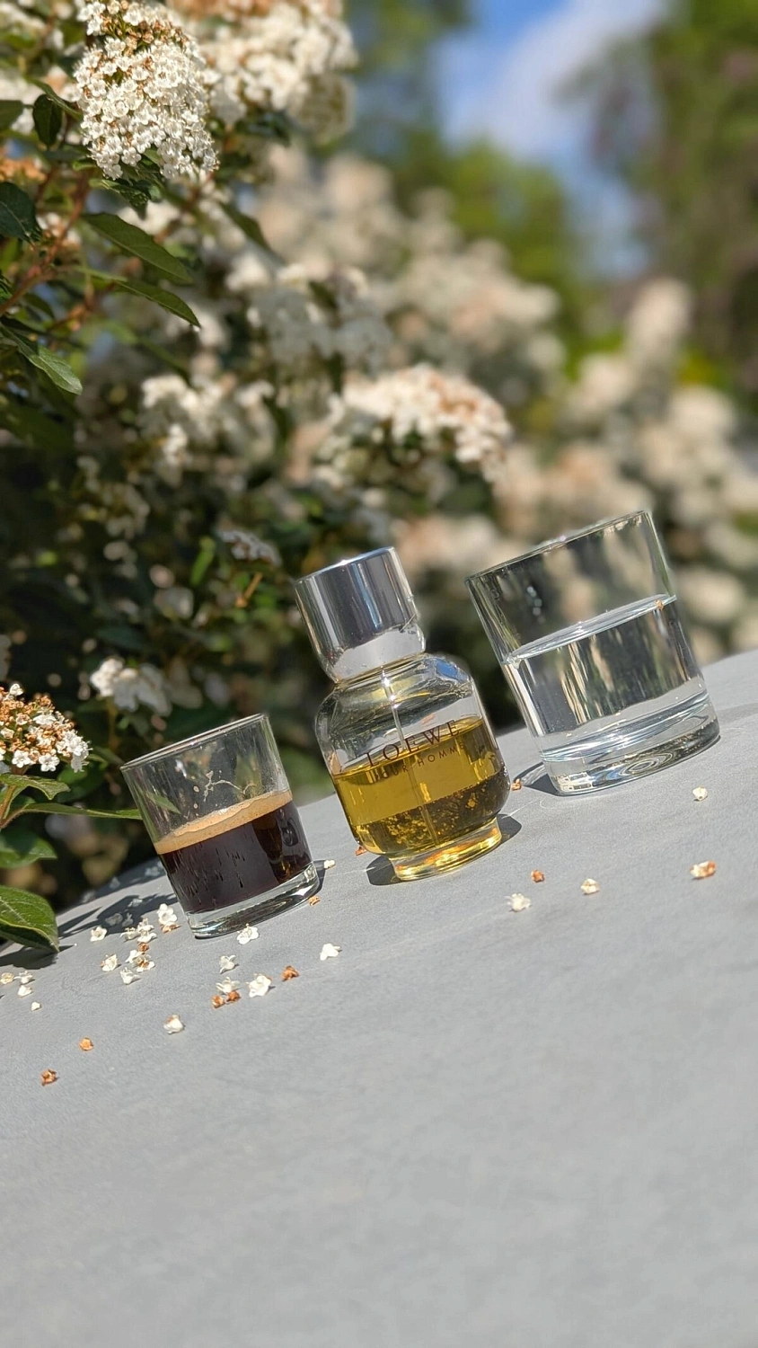 Loewe Pour Homme