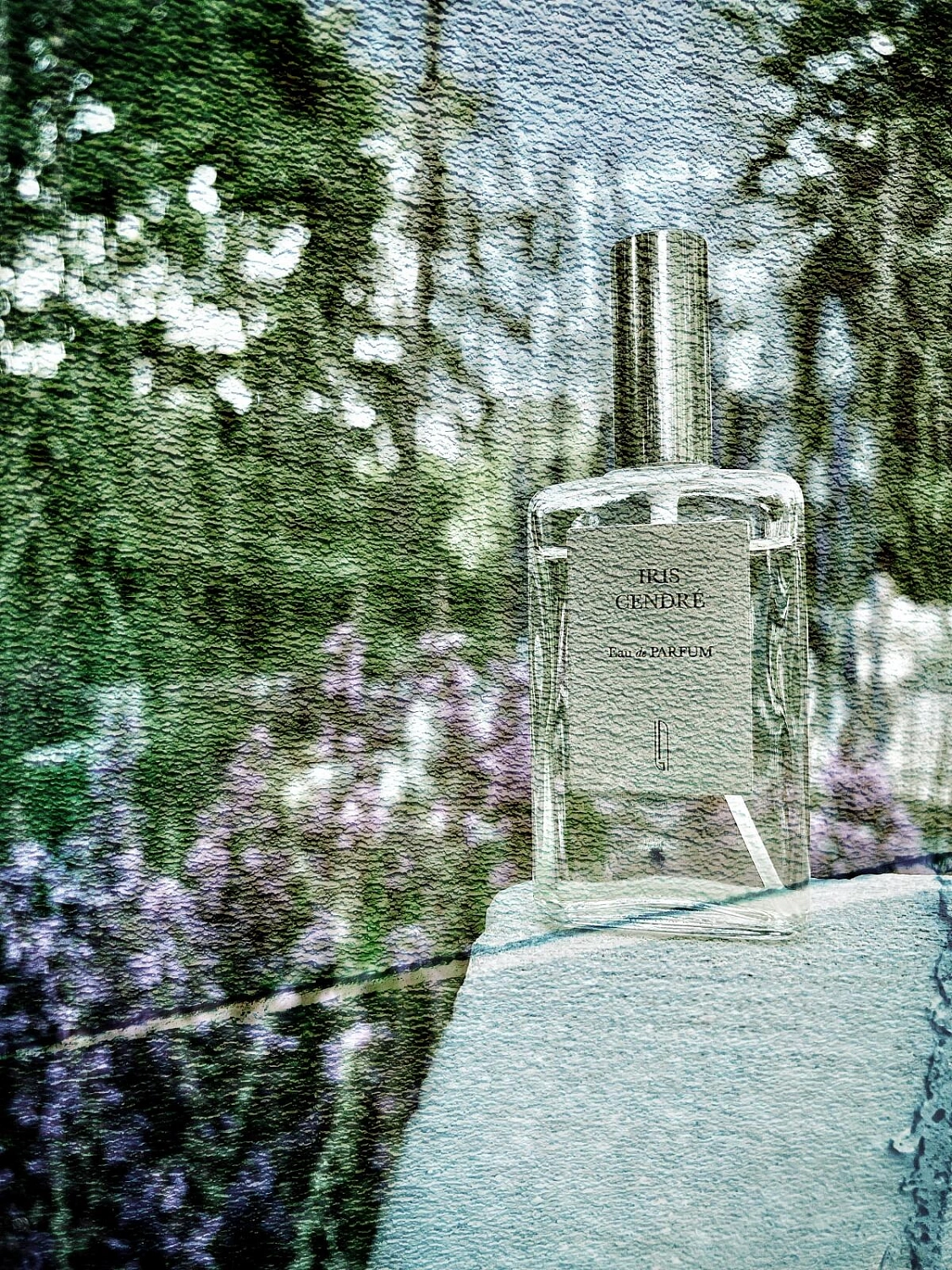 Naomi Goodsir Iris Cendre