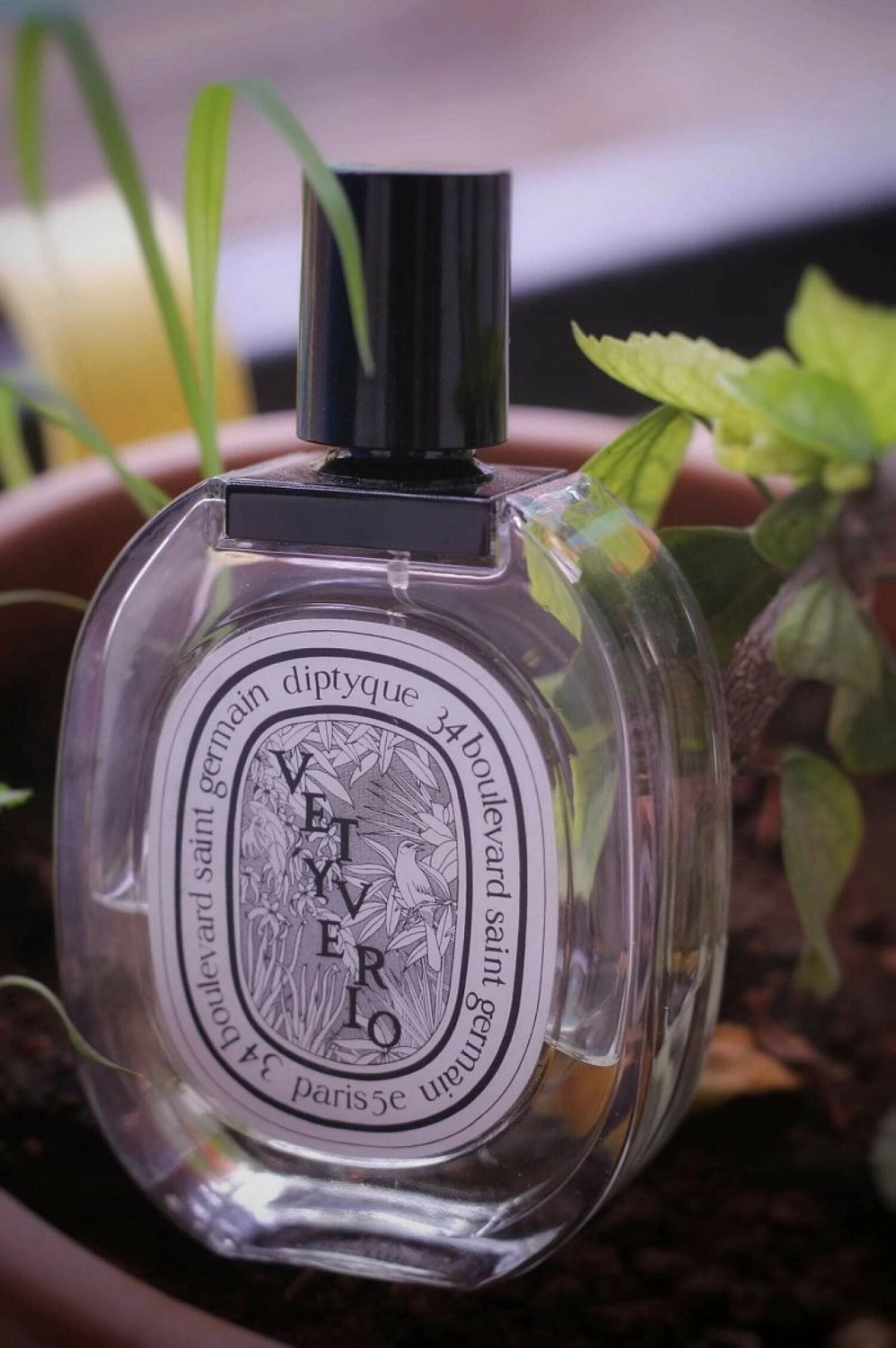 Diptyque Vetyverio