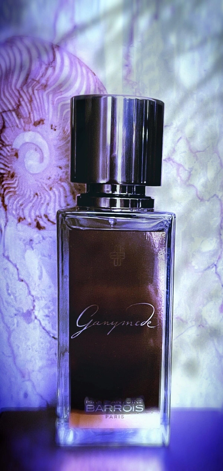Marc-Antoine Barrois Ganymede