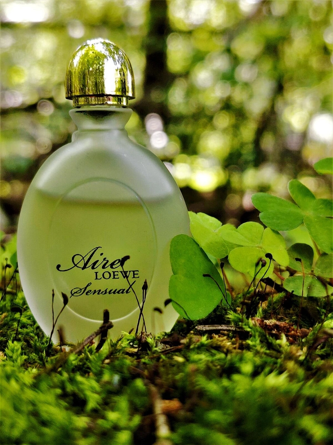 Loewe Aire Sensual