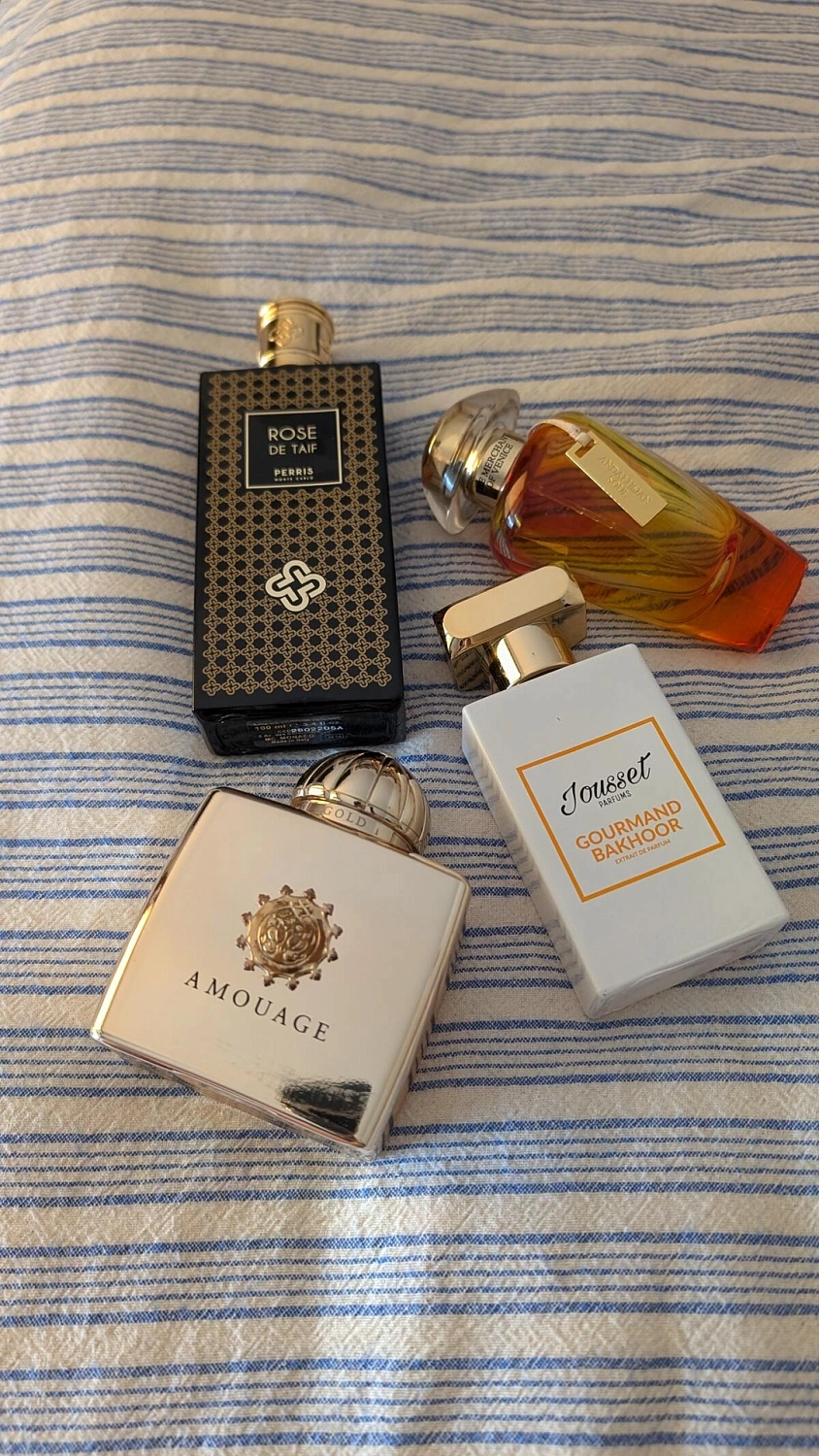 Perris Monte Carlo Rose de Taif
