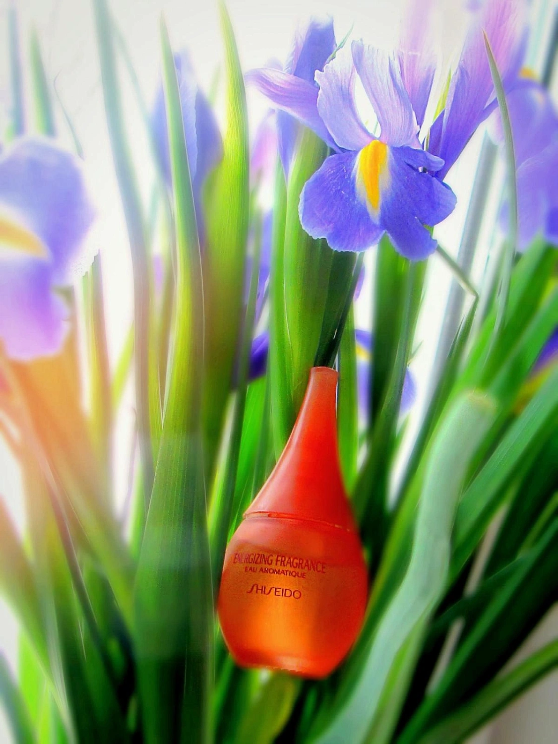 Shiseido Energizing