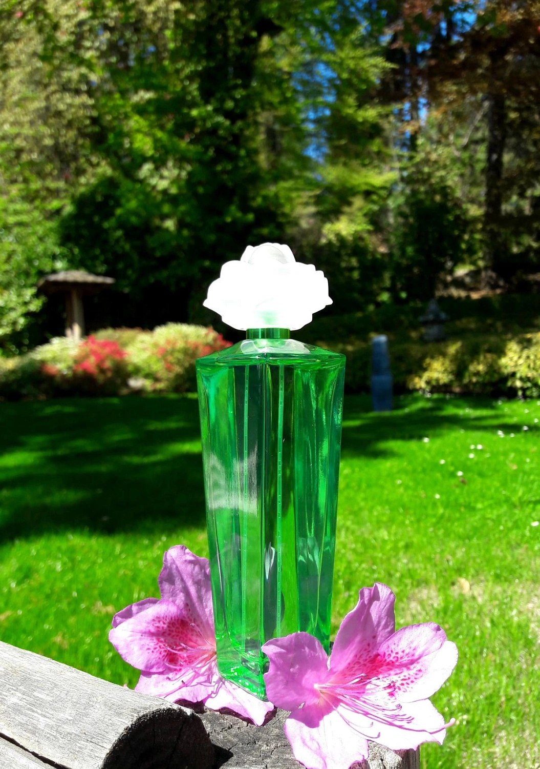 Elizabeth Taylor Gardenia
