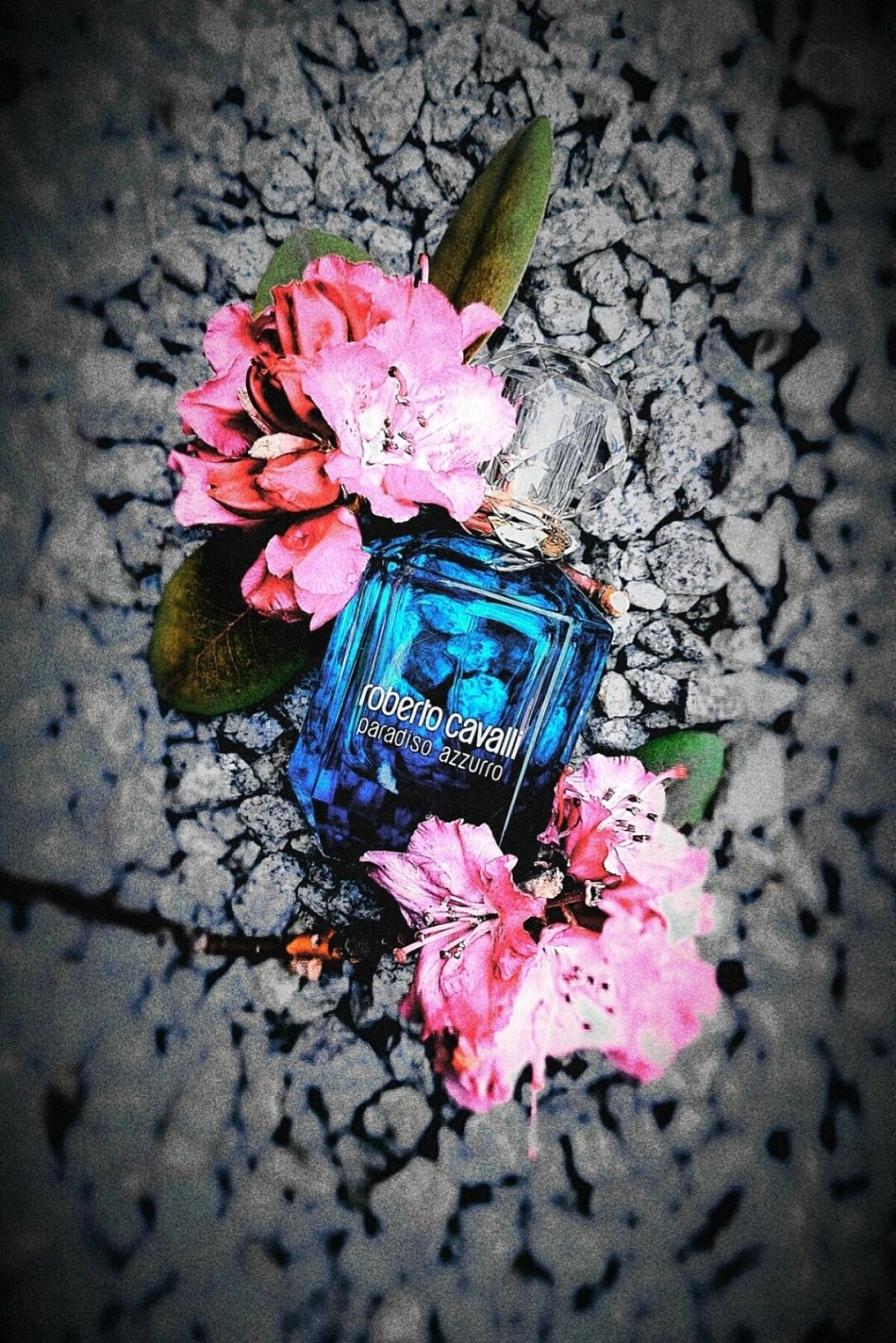 Roberto Cavalli Paradiso Azzurro