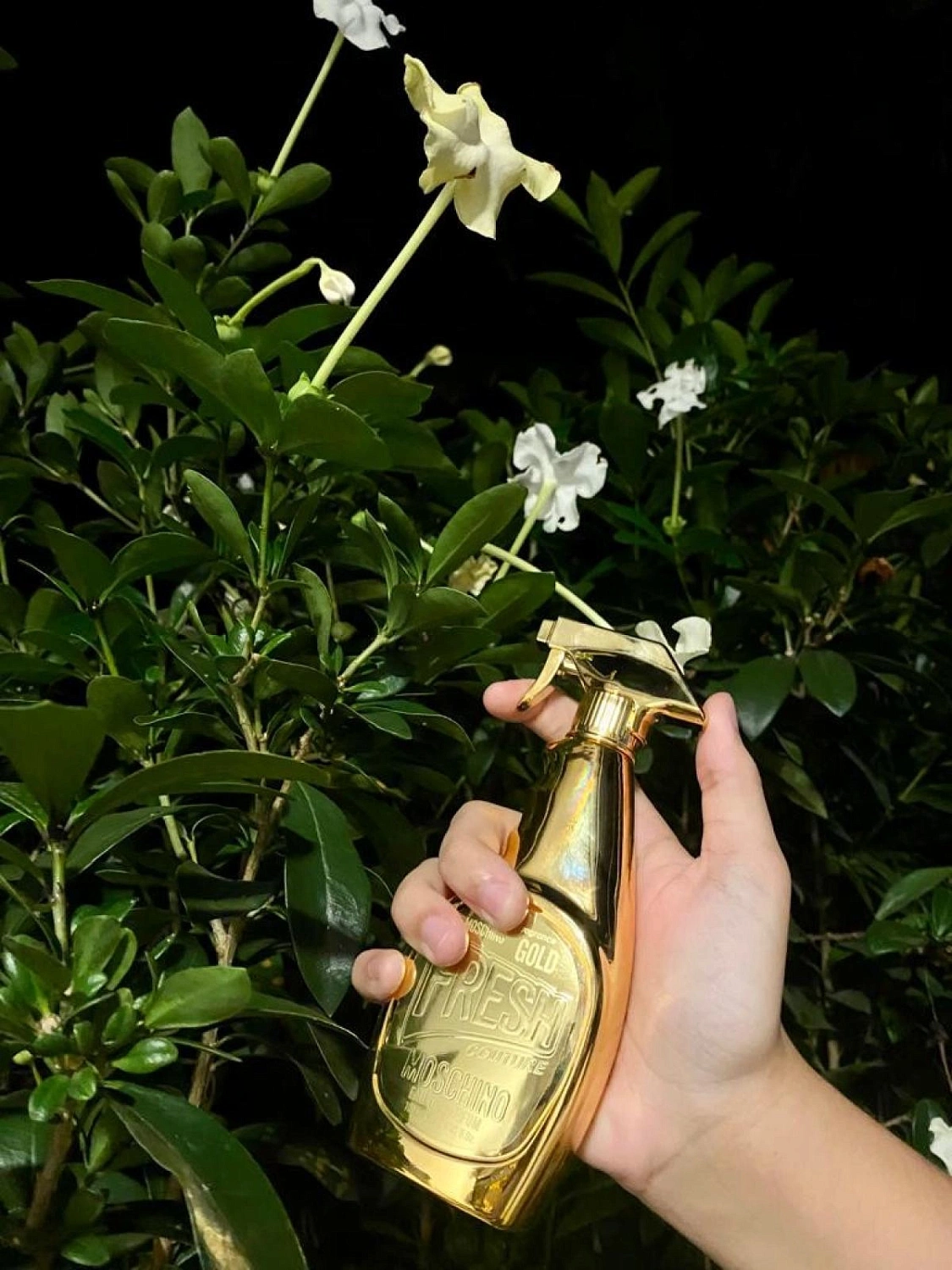 Moschino Gold Fresh Couture