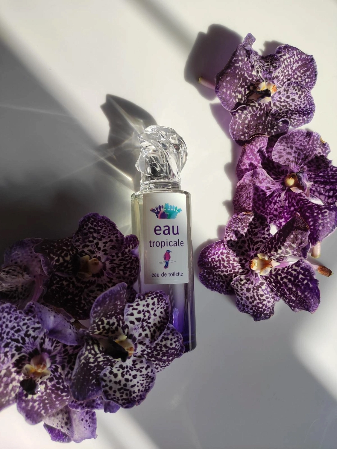Sisley Eau Tropicale