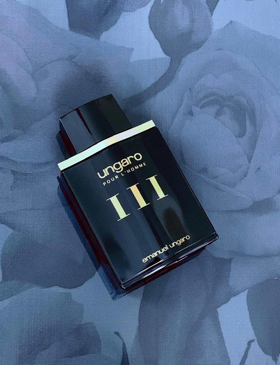 Emanuel Ungaro pour L'Homme III
