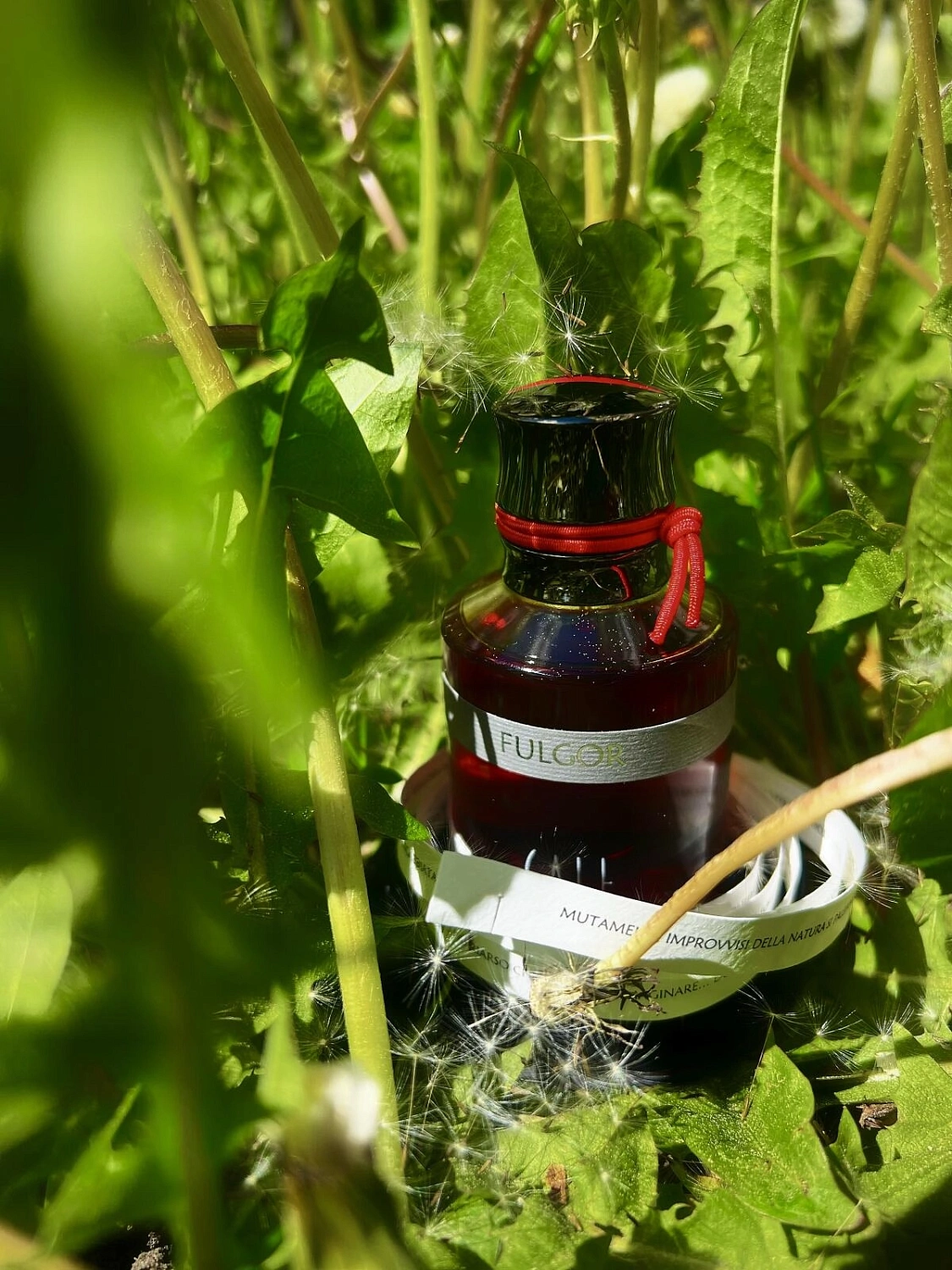 Calé Fragranze d'Autore Fulgor