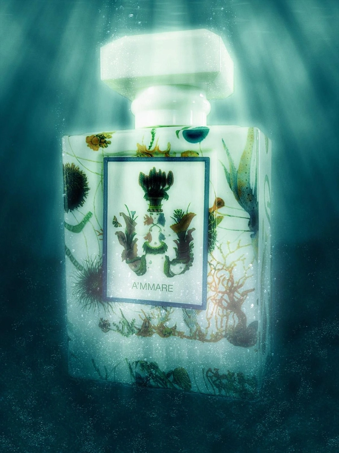Carthusia A'mmare