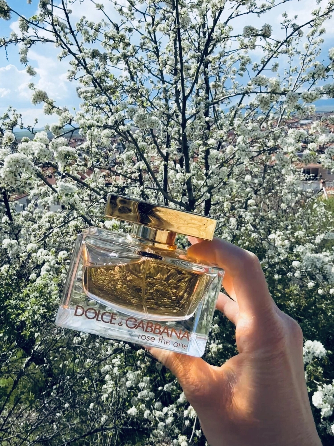 Dolce & Gabbana Rose The One