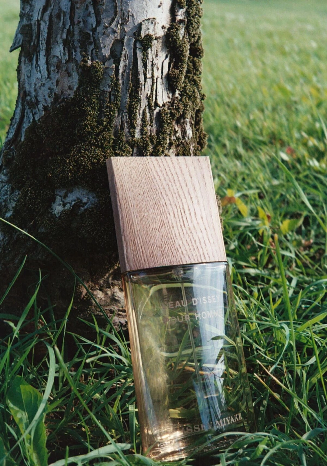 Issey Miyake L'Eau d'Issey pour Homme Vetiver