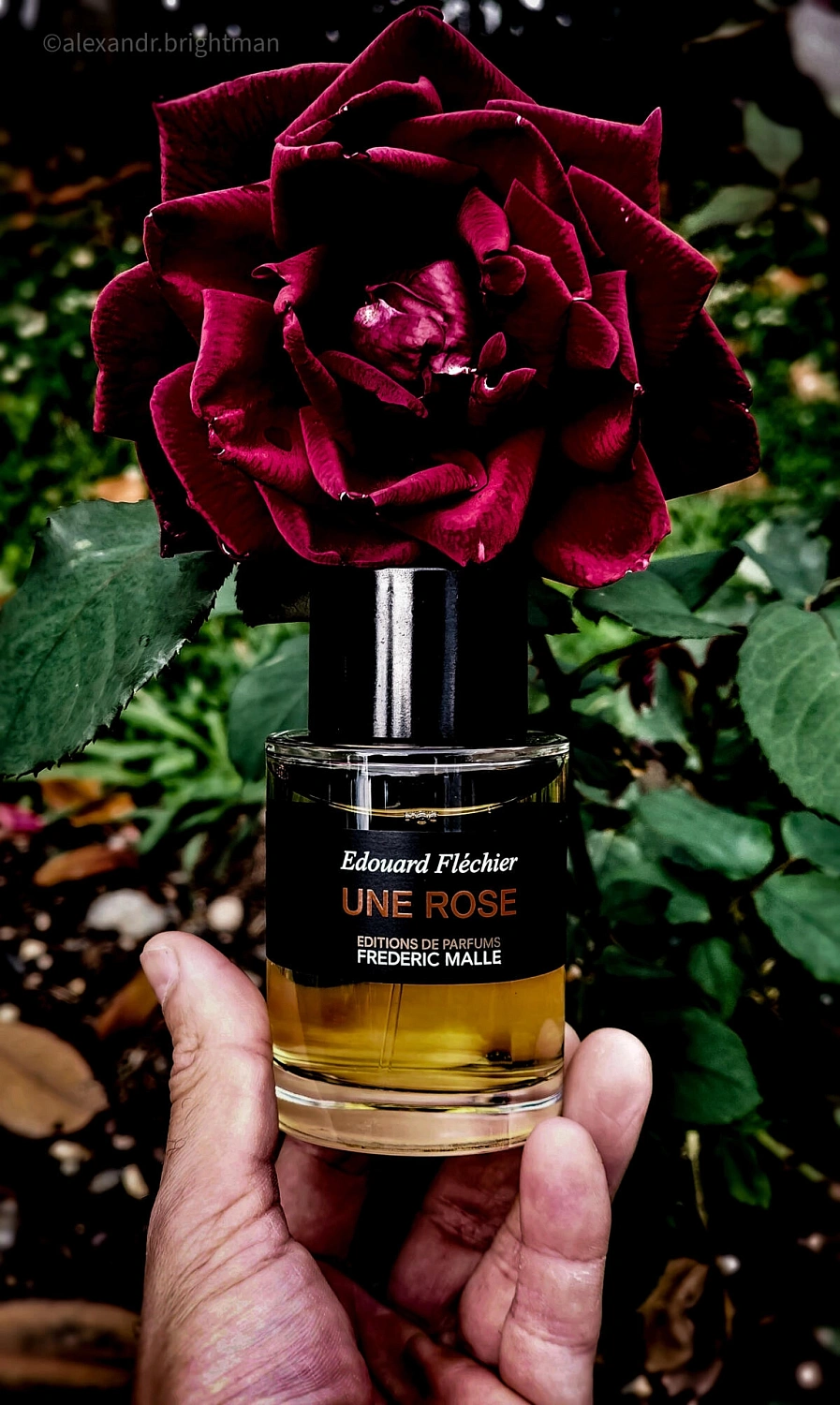 Frédéric Malle Rose Tonnerre
